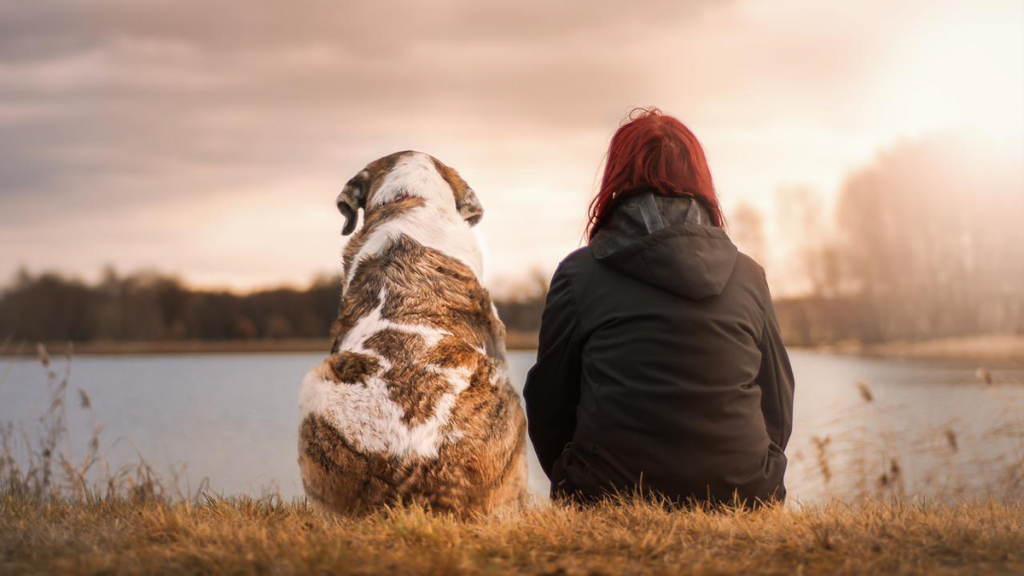 mulher sentada ao de seu cachorro em frente a um lago, o cachorro é seu maior exemplo de o que é confiar